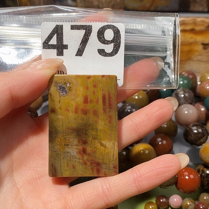 硅化玉未镶嵌天然北票树化玉吊坠