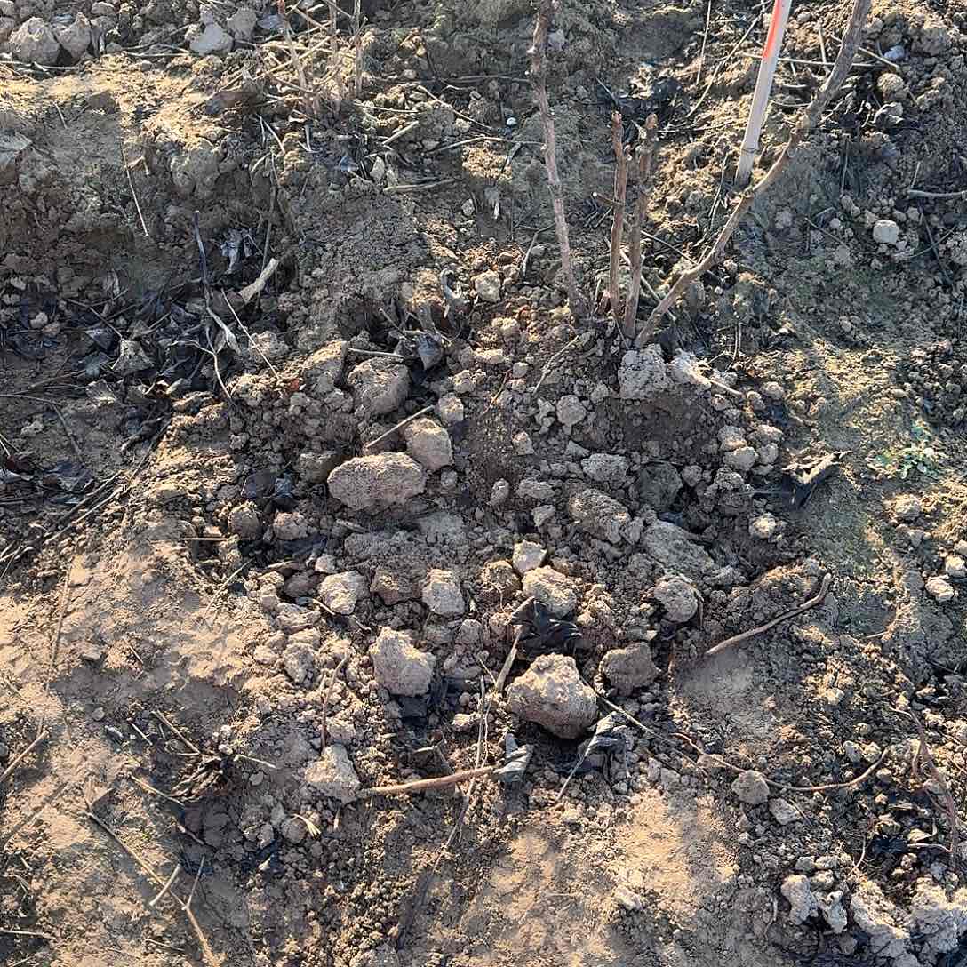 完全开放111111111111