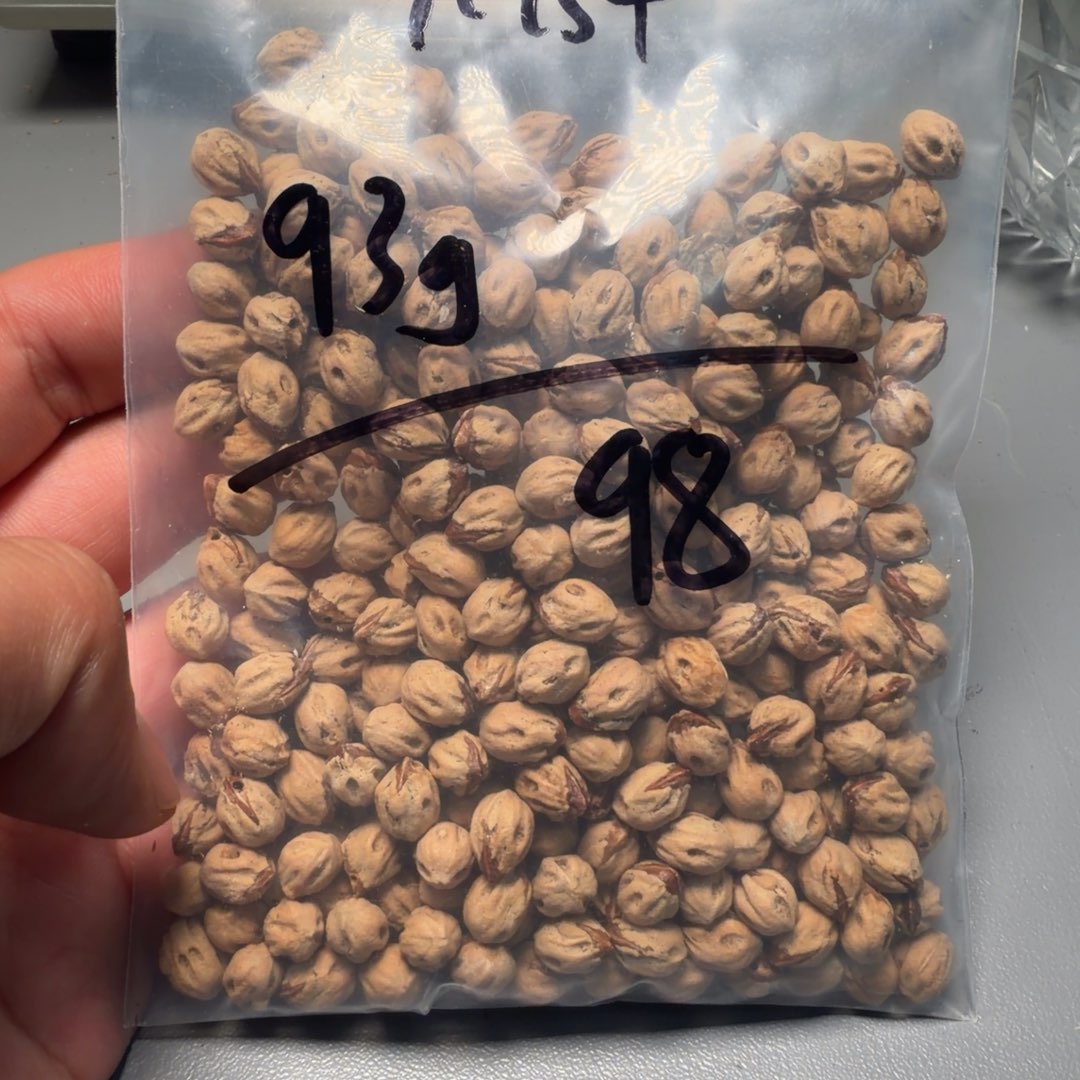 9***%吊坠柏香籽/百香籽