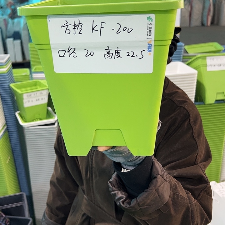 正品方盆口20高22果绿无托6只