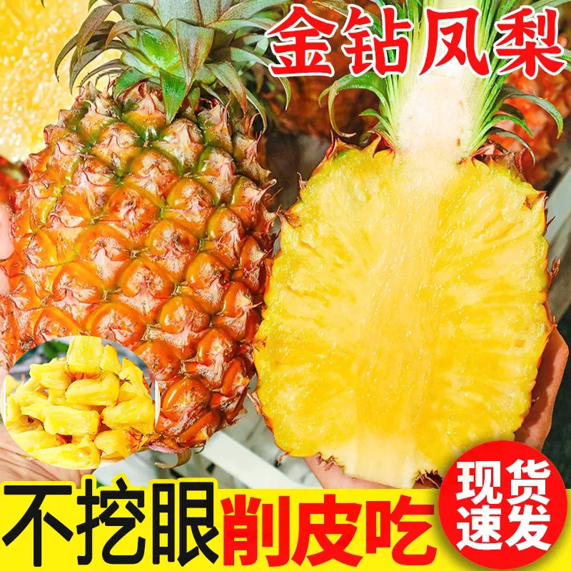 【树熟】海南金钻凤梨无眼大果凤梨树熟纯甜凤梨产地直发