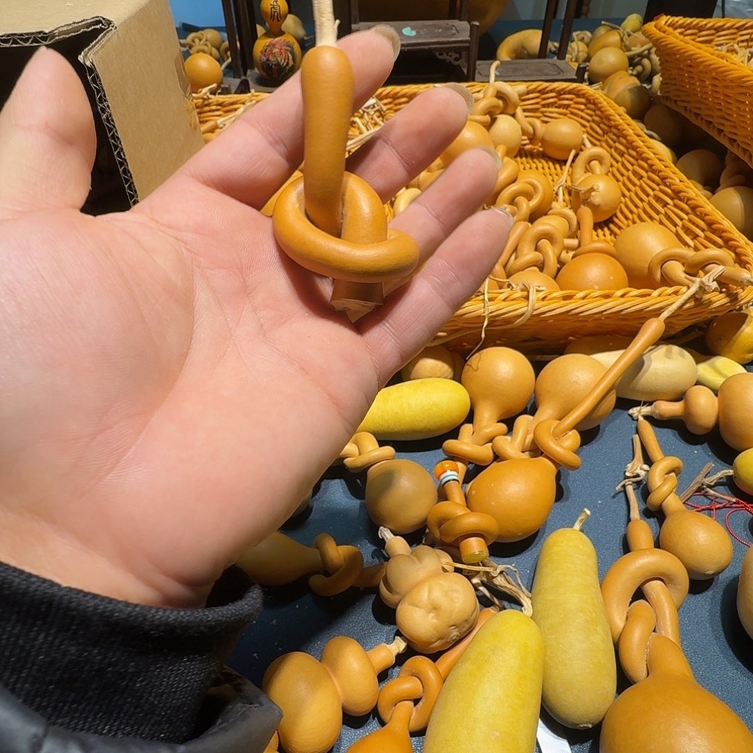 哒****葫芦科分布广泛于亚洲的太平洋