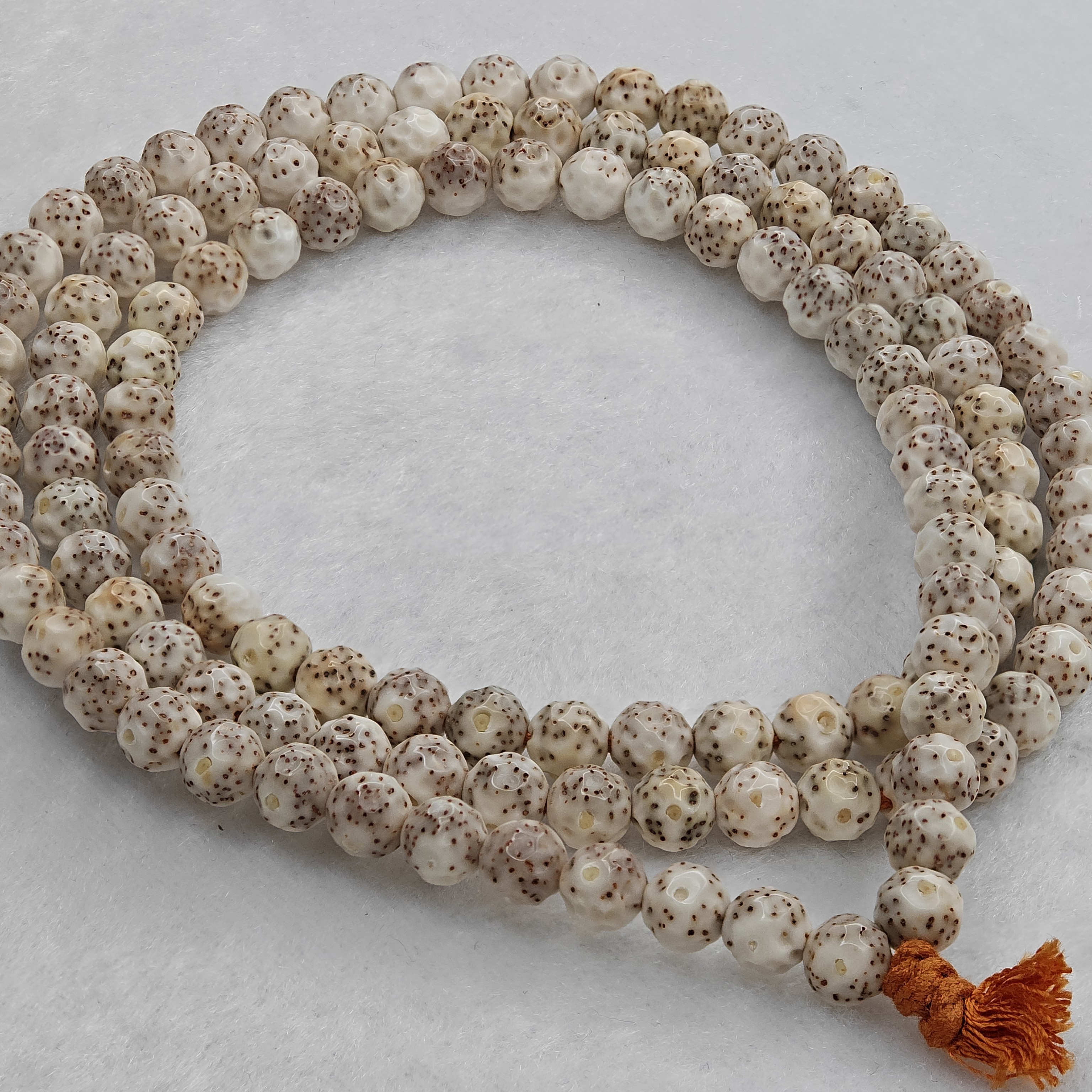 【海南星月菩提】同枝果毛感料/石玉骨瓷白/7无相大留白小细星ZP666