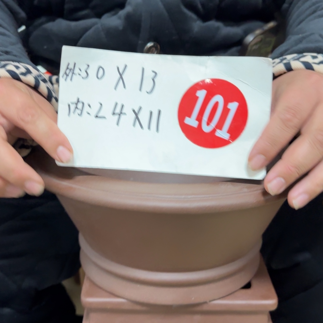 紫砂花盆我呜呜呜呜呜