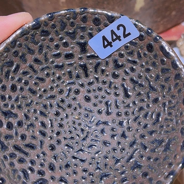 茶盏我要看啊哈哈你要吃我不