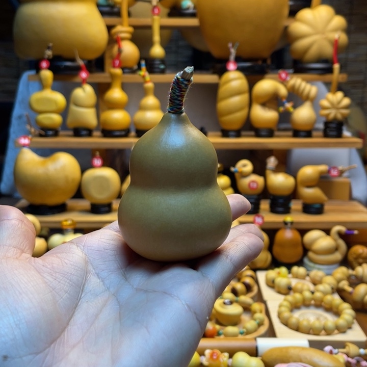 苗***子天然葫芦自然生长