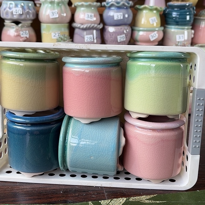 红陶量货/口高深浅搭配发6