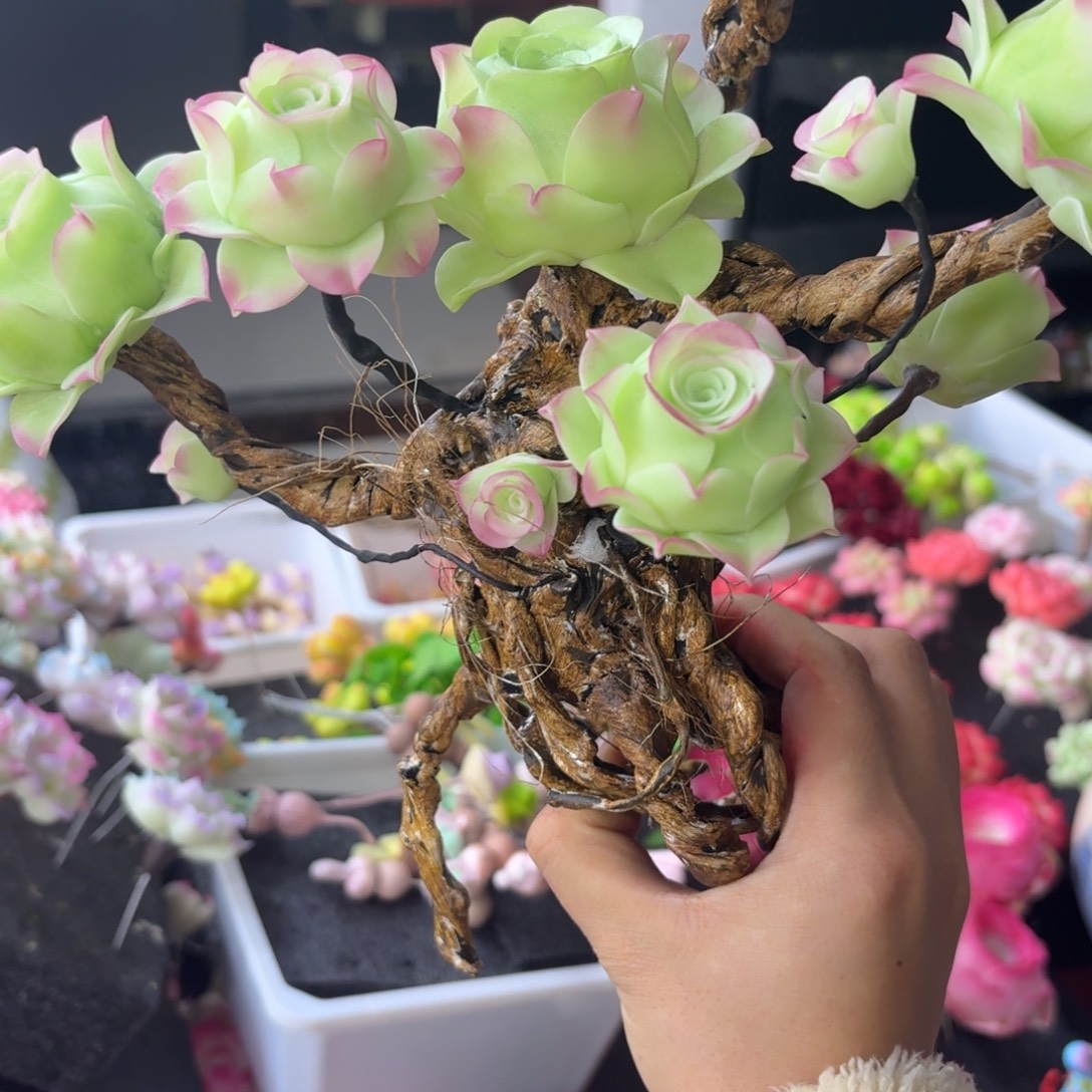 树脂1号哦哦哦哦哦哦哦