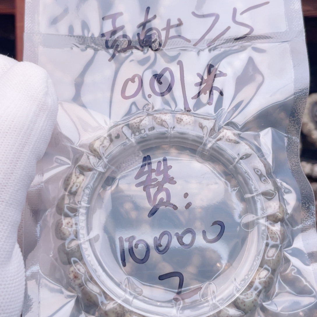 ****气星月菩提手串福利