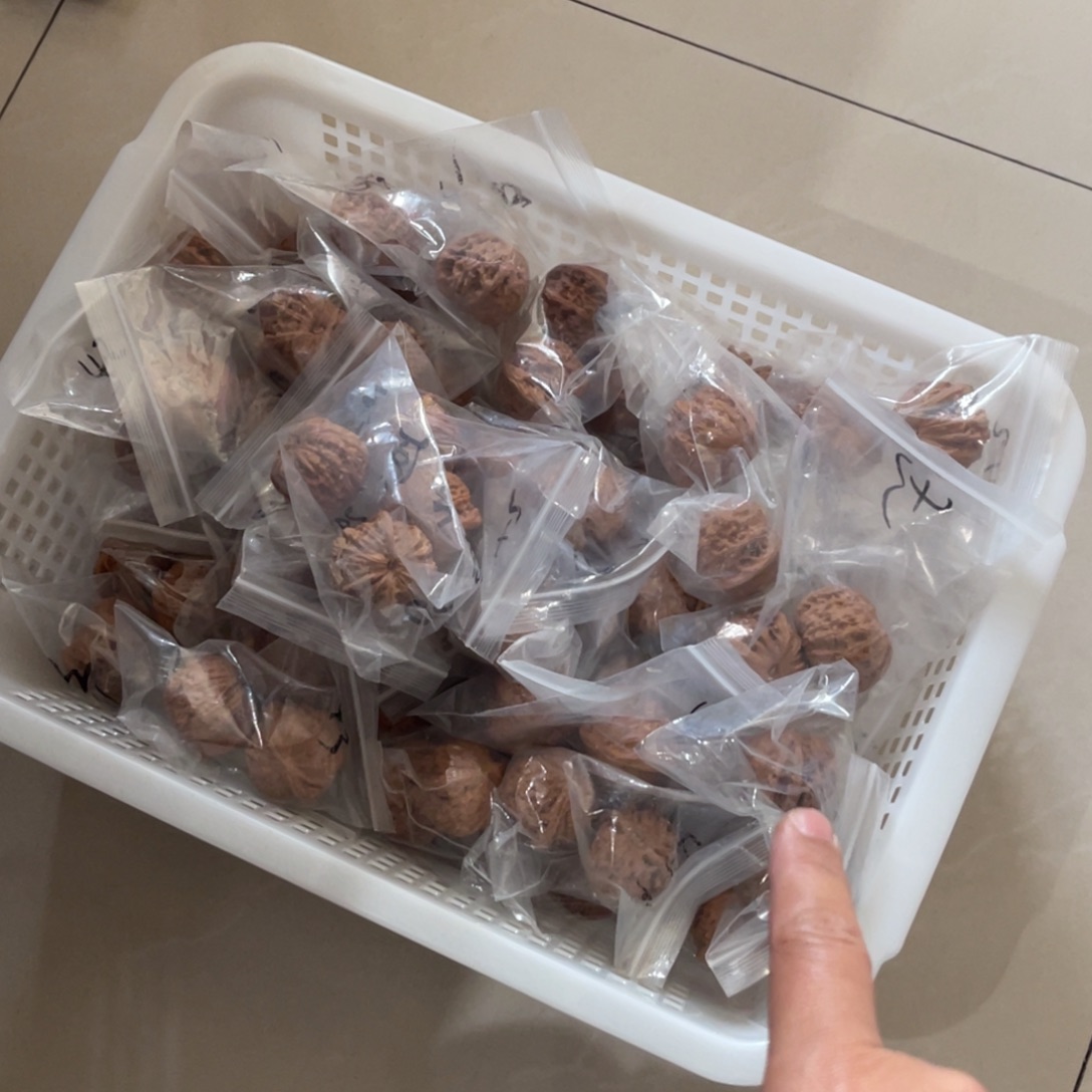 吊坠文玩核桃09秦皇岛山地果全品