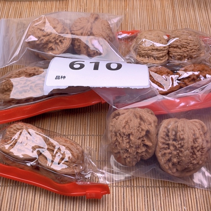 文玩核桃把件610号6对带练手粗筋