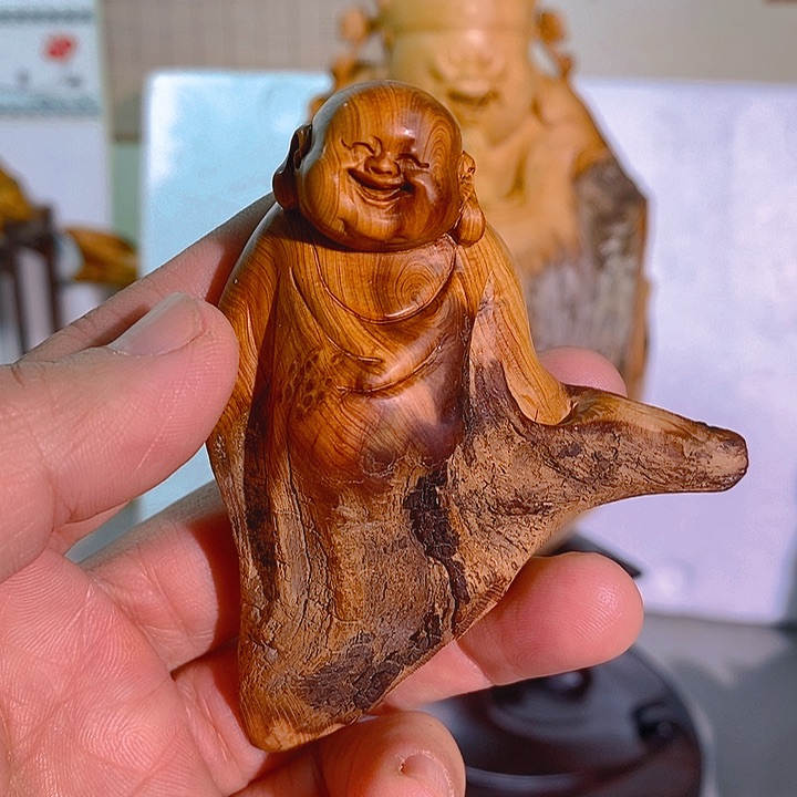 柏木（崖柏）太行大峡谷崖柏