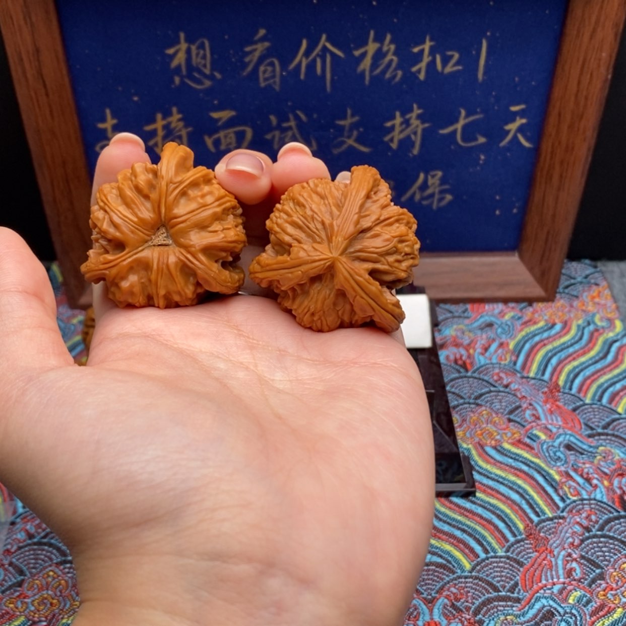 【闪购商品】平**气白狮
