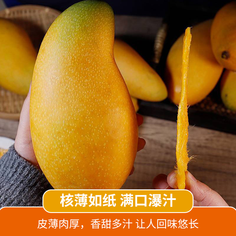 【次日达】海南正宗金煌芒新鲜多汁香甜巨无霸5斤/10斤