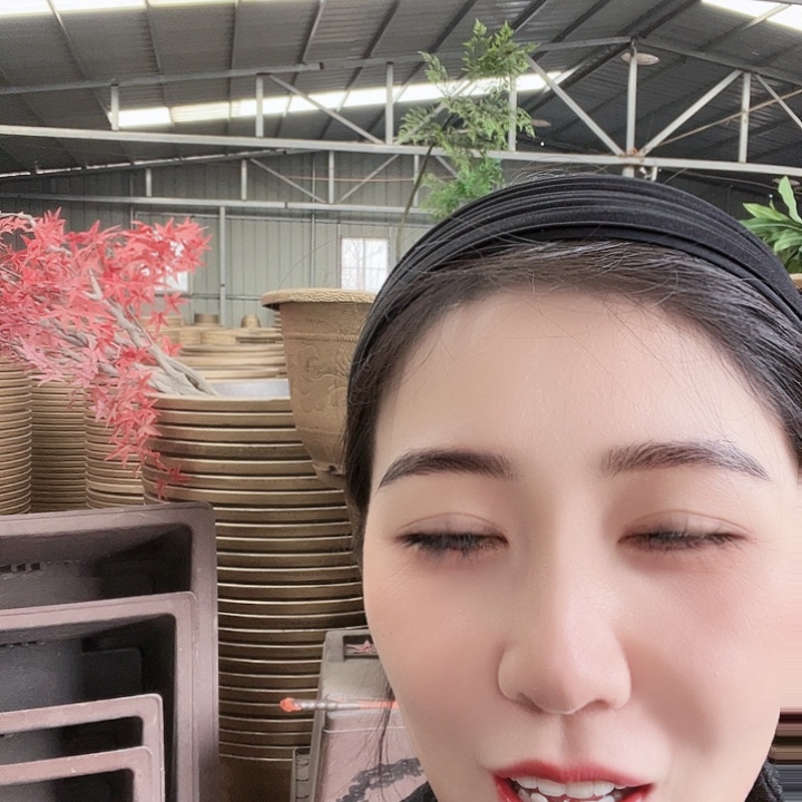 圆50两个龙盆 方盆44口径两个