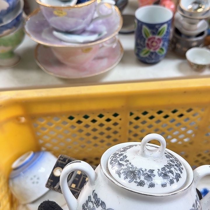 壶开播啦….开播啦