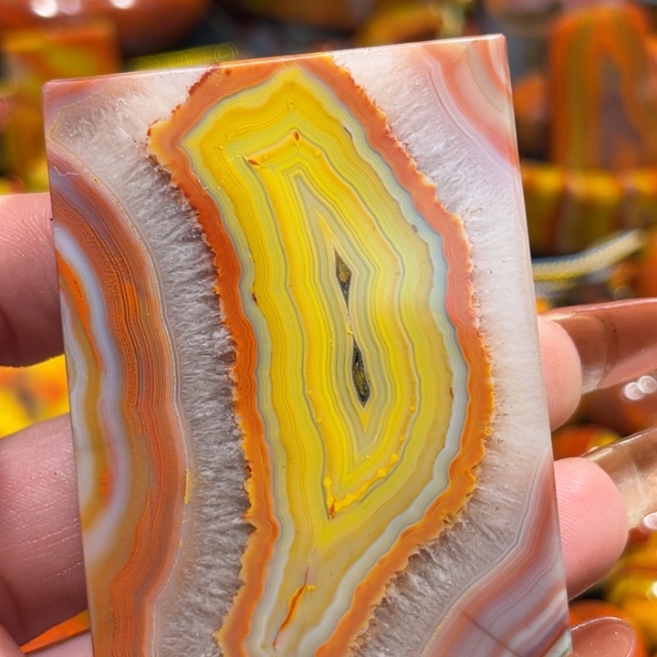 非金属无心***虞战国红