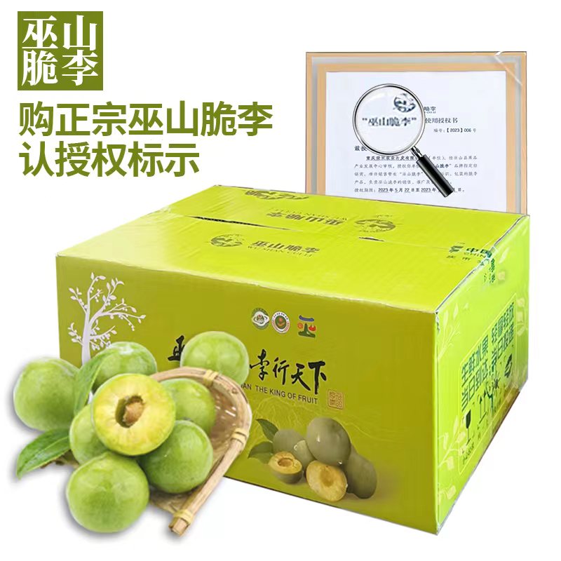 巫山正宗脱骨脆李酸甜多汁新鲜采摘应季水果