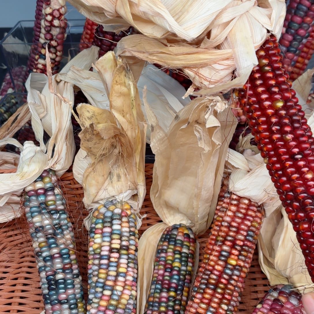 爱***2吊坠白玉菩提文玩精品文玩精品