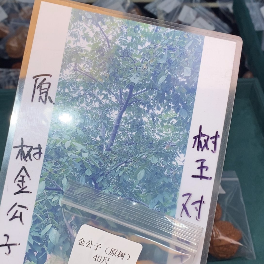 文玩核桃吊坠40原树金公子