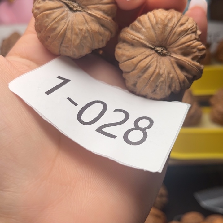 文玩核桃把件39全品南瓜1028