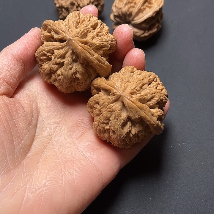 富***械核桃大粗金白茶全品45+