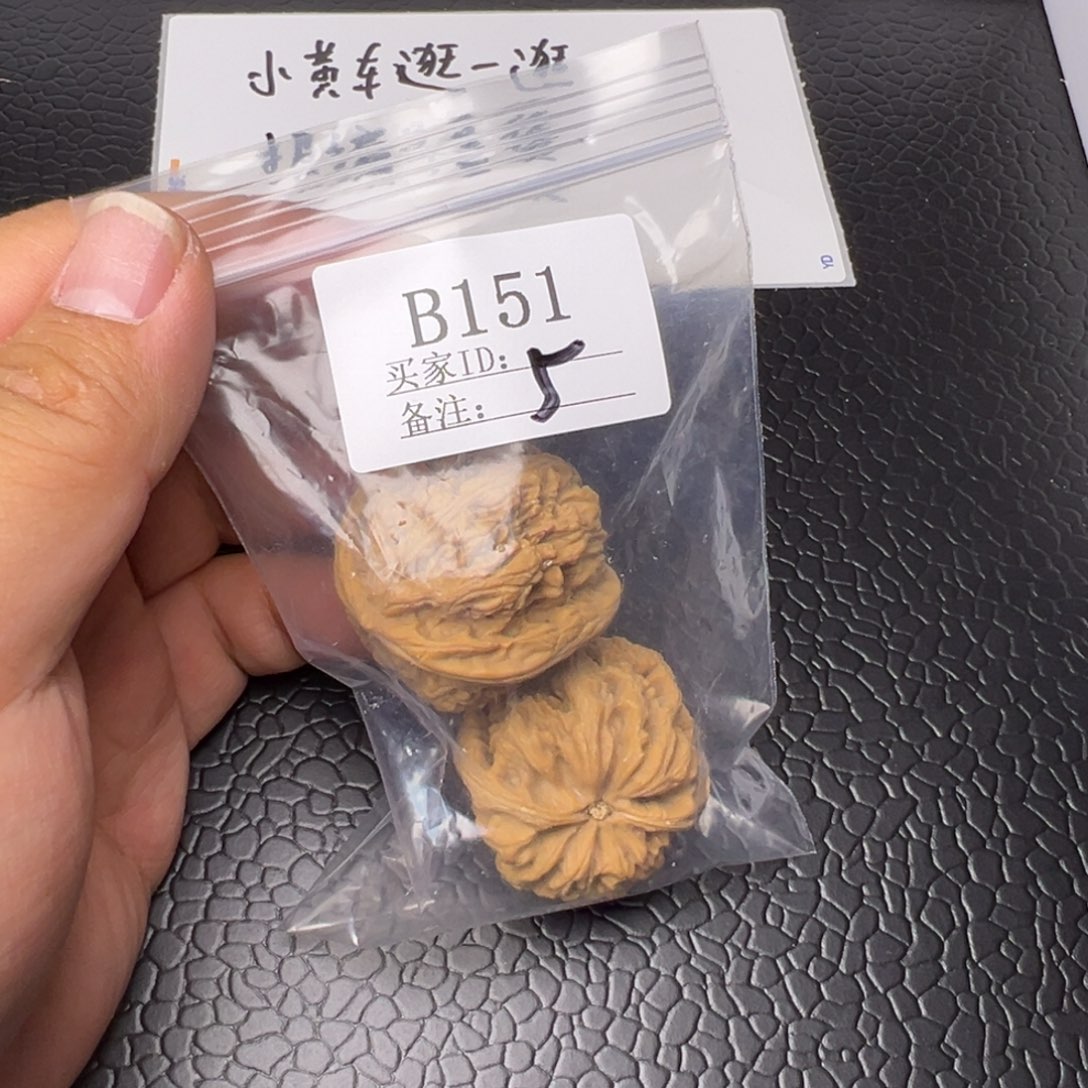 核桃手串/手链35尺粗筋B151