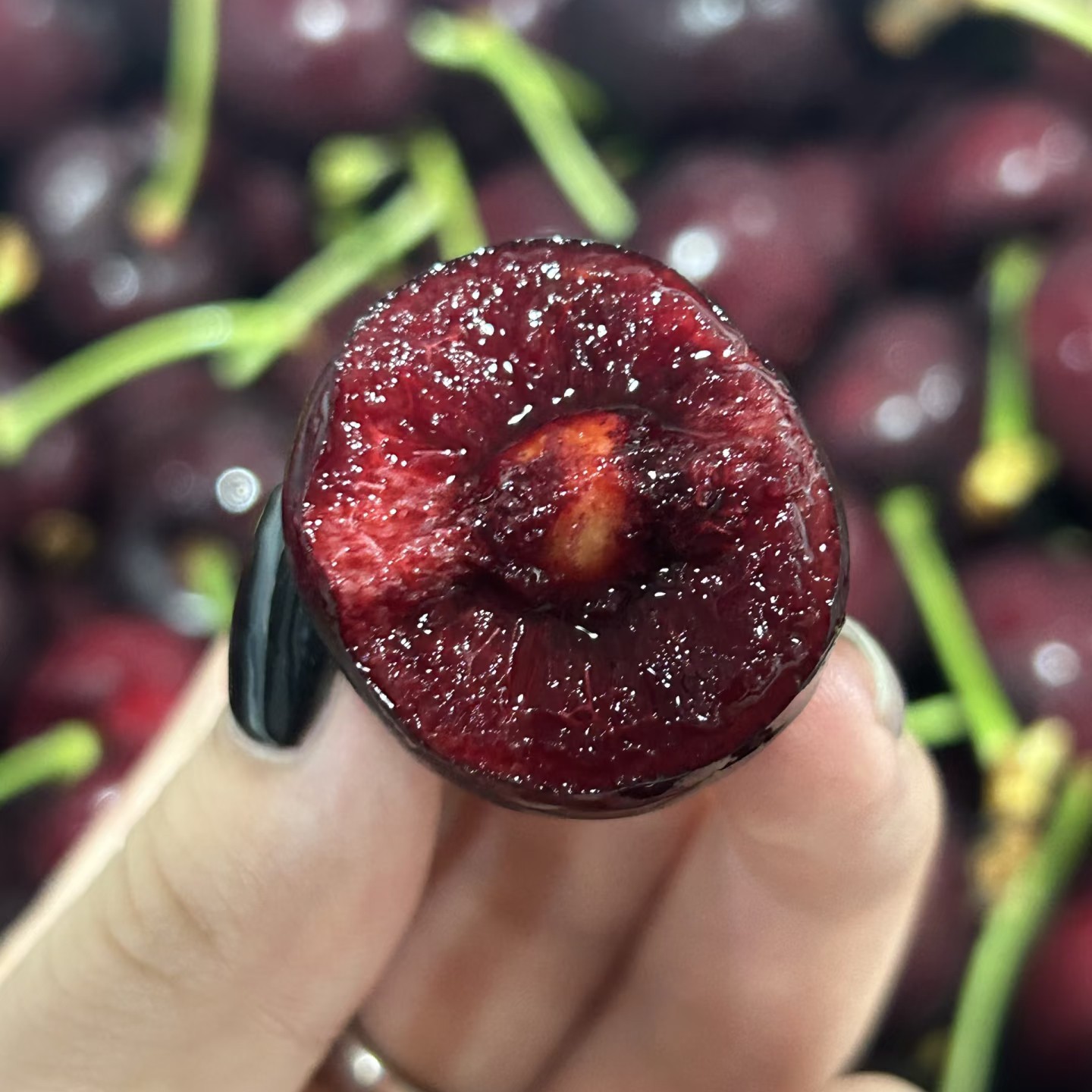 智利车厘子桑提娜3JD一箱五斤装桑提娜智利桑提娜海运智利智利