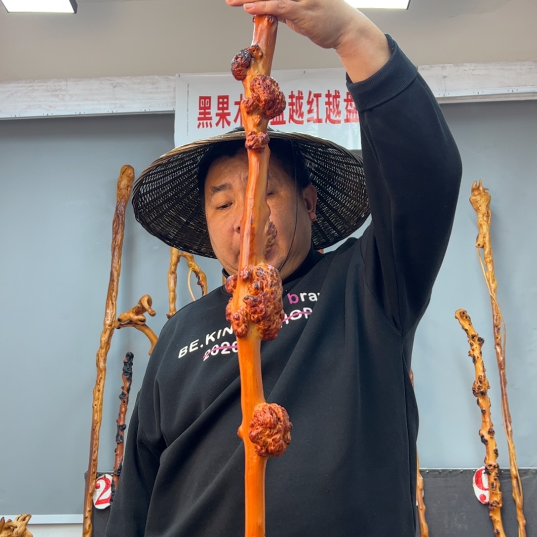 黑果木其他黑果木569