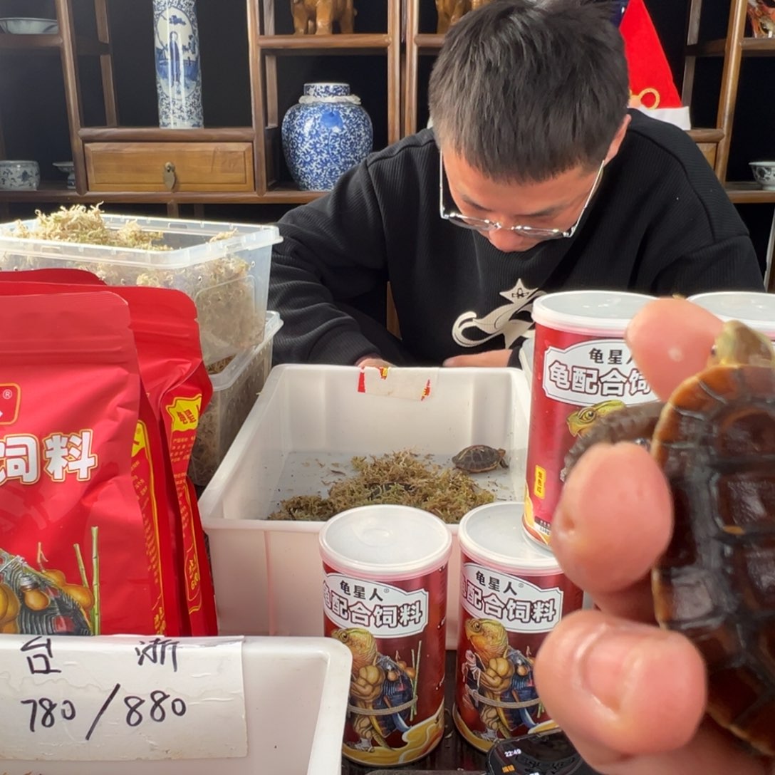 母梦**她新年快乐哈哈哈