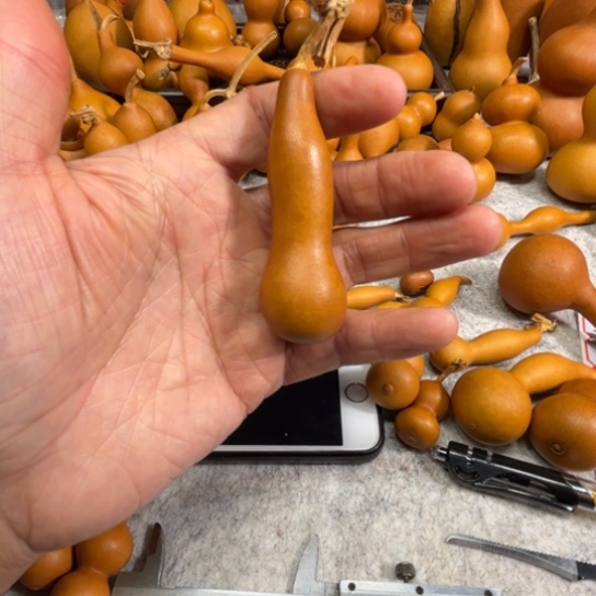 跳***p跳跳跳了一把本掌一把本掌葫芦跳跳跳