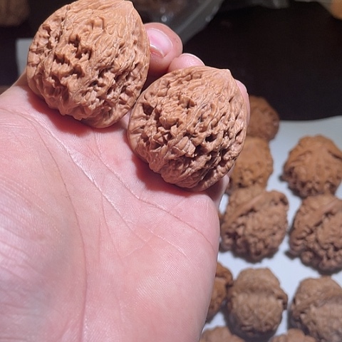 核桃麦穗虎头文玩核桃