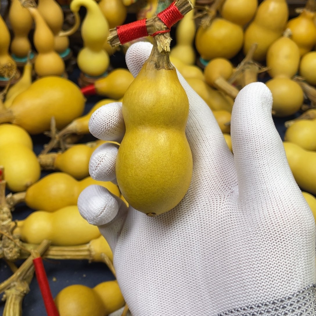 一***毛大叶紫檀（黑酸枝木类）