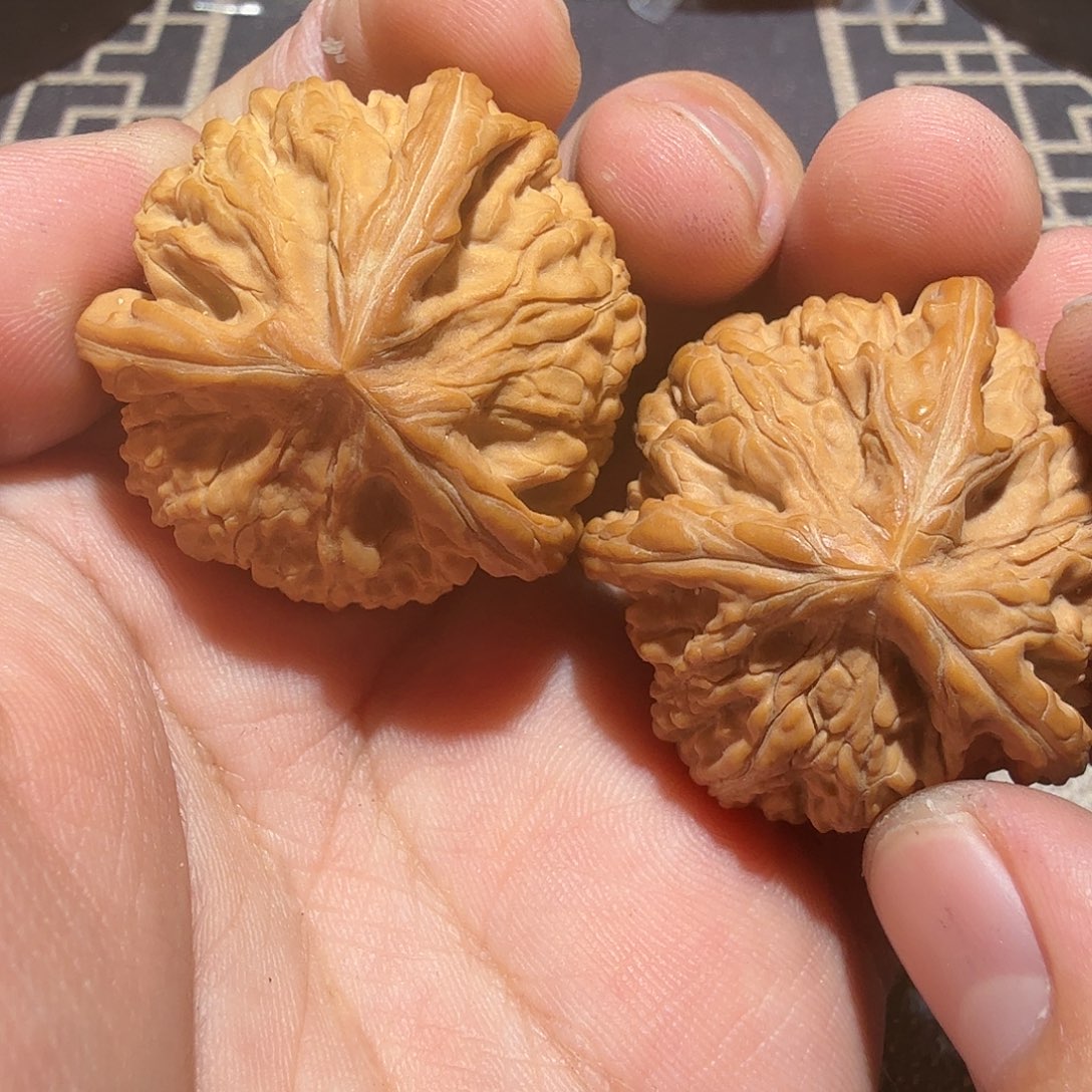 文玩核桃把件御龙