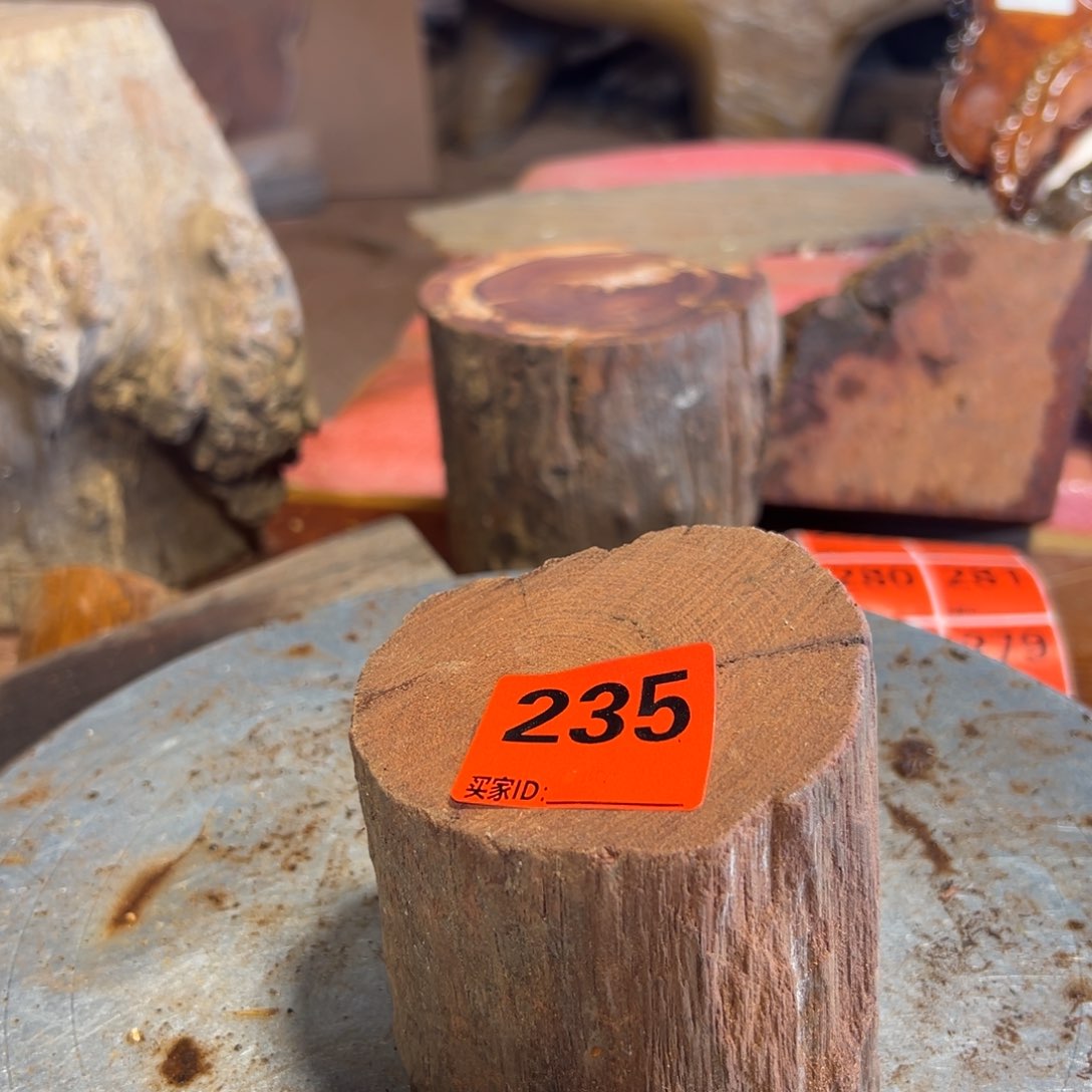 大果紫檀（缅甸花梨）