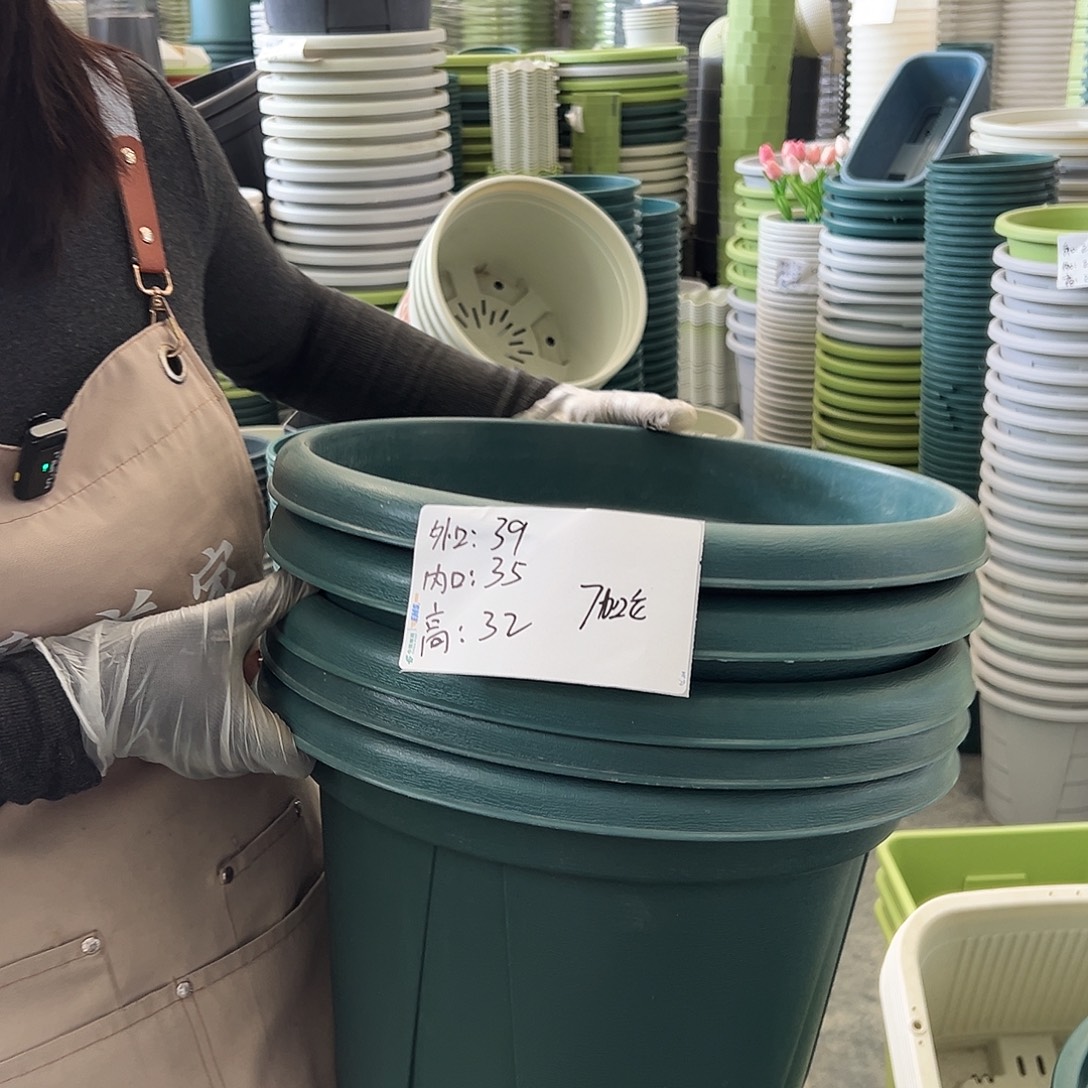 青山盆7#墨绿色5个无托