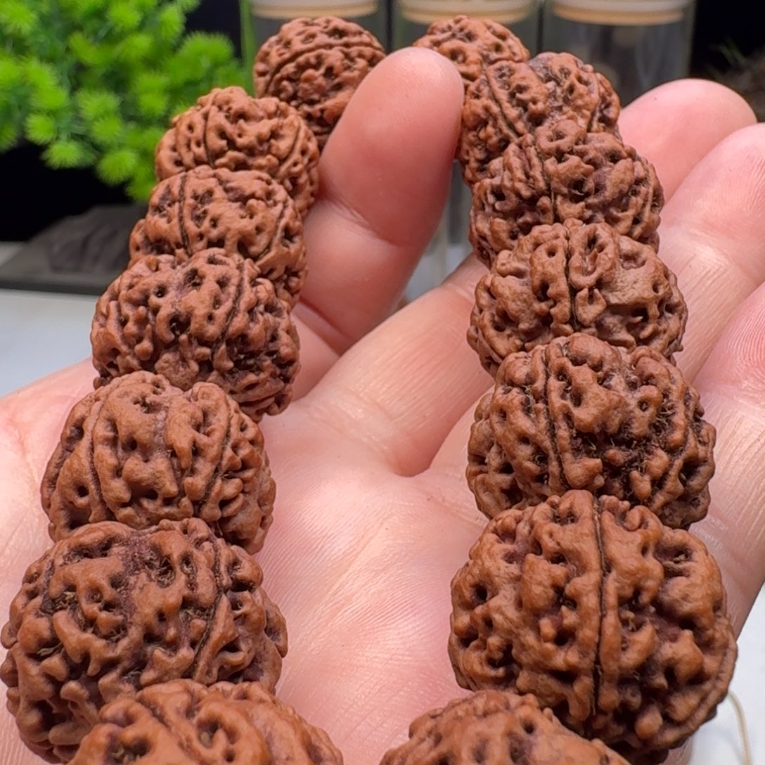 手串金刚菩提雪山铁籽老籽