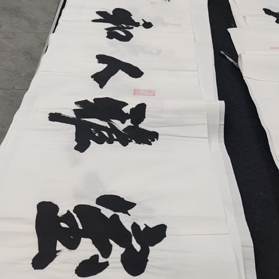 翰墨申国栋老师作品一副