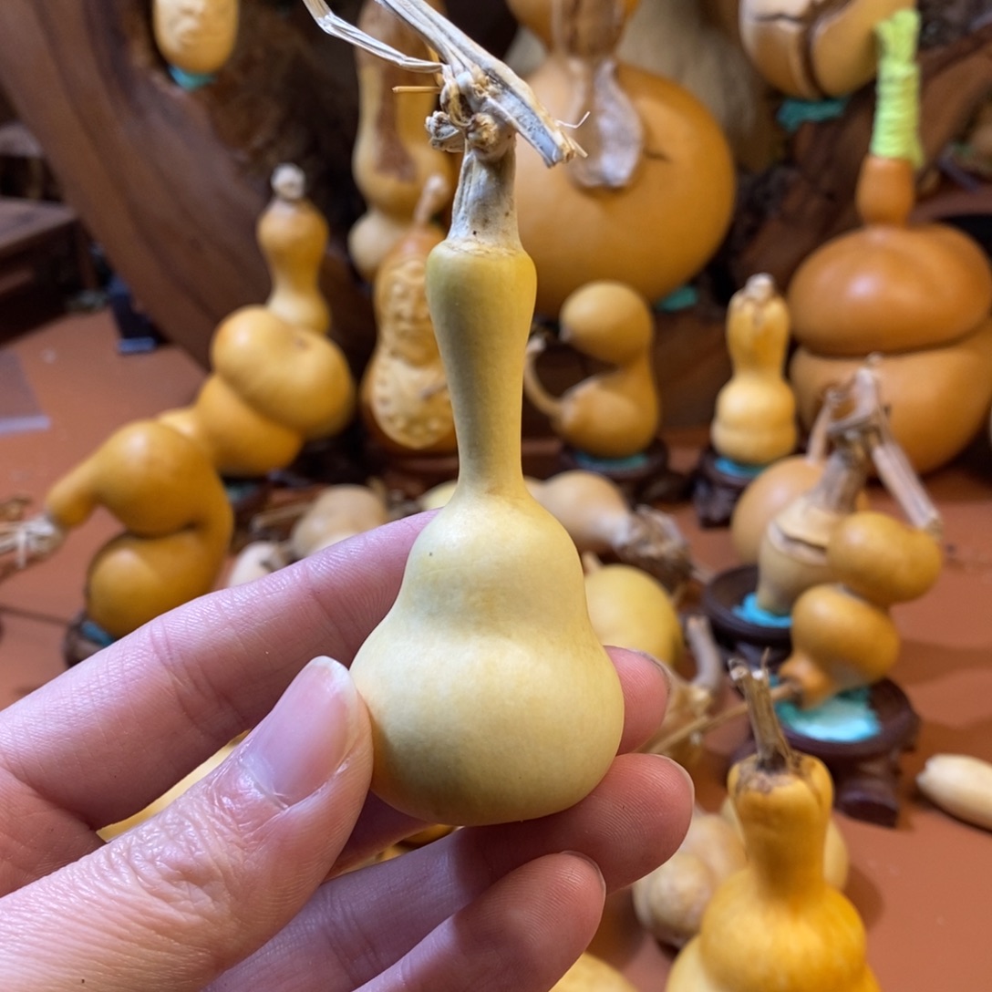 营***姐教练教练咯哦哦哦咯