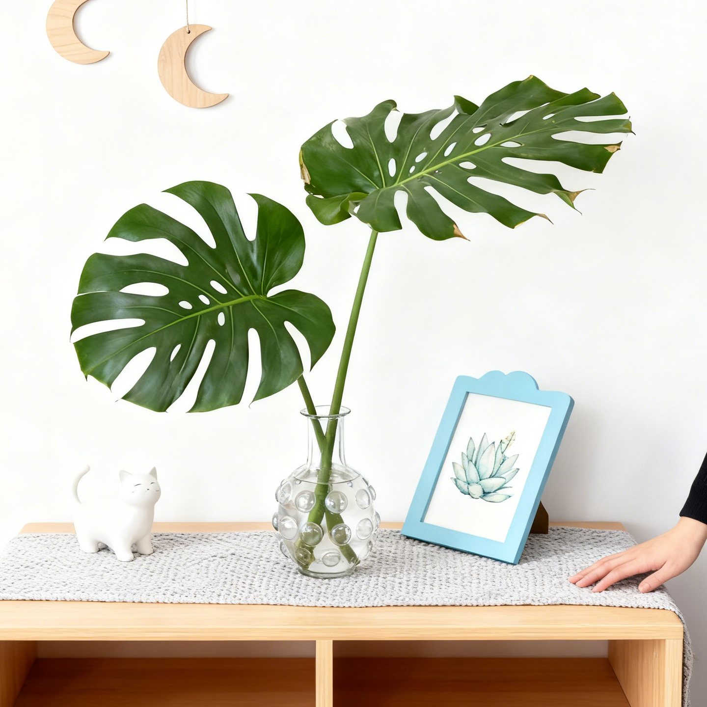 龟背竹水培吸甲醛绿植适合桌子办公室卫生间客厅卧室小盆栽植物