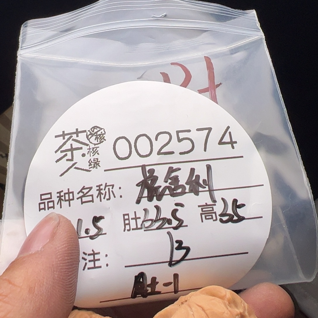 文玩核桃吊坠今天