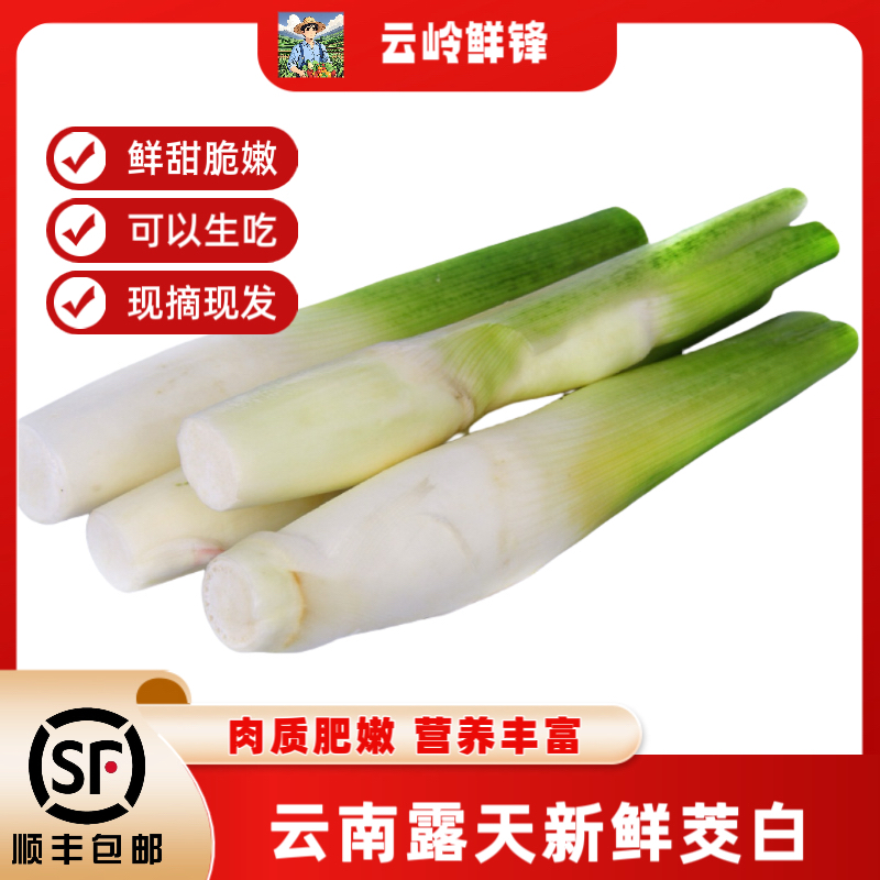 顺丰包邮云南高山带壳茭白新鲜茭白现摘现发应季时令蔬菜