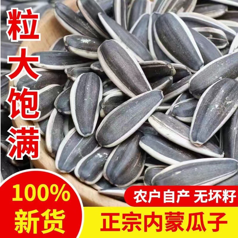 内蒙大颗粒瓜子新鲜晒干生瓜子现炒原味瓜子饱满炒货干果产地批发