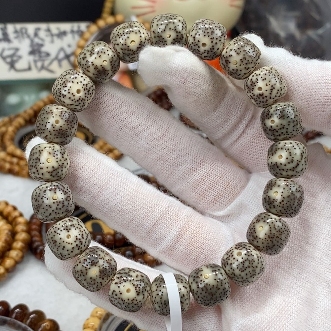 菩提籽类12/11灰冰果冻月朗星稀