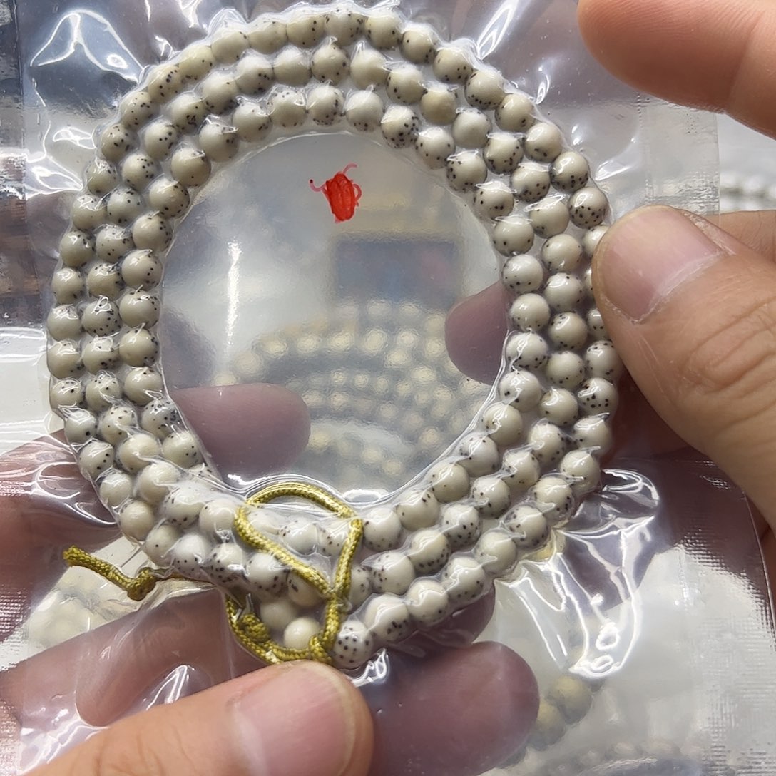 ****星月菩提吊坠同枝果6圆