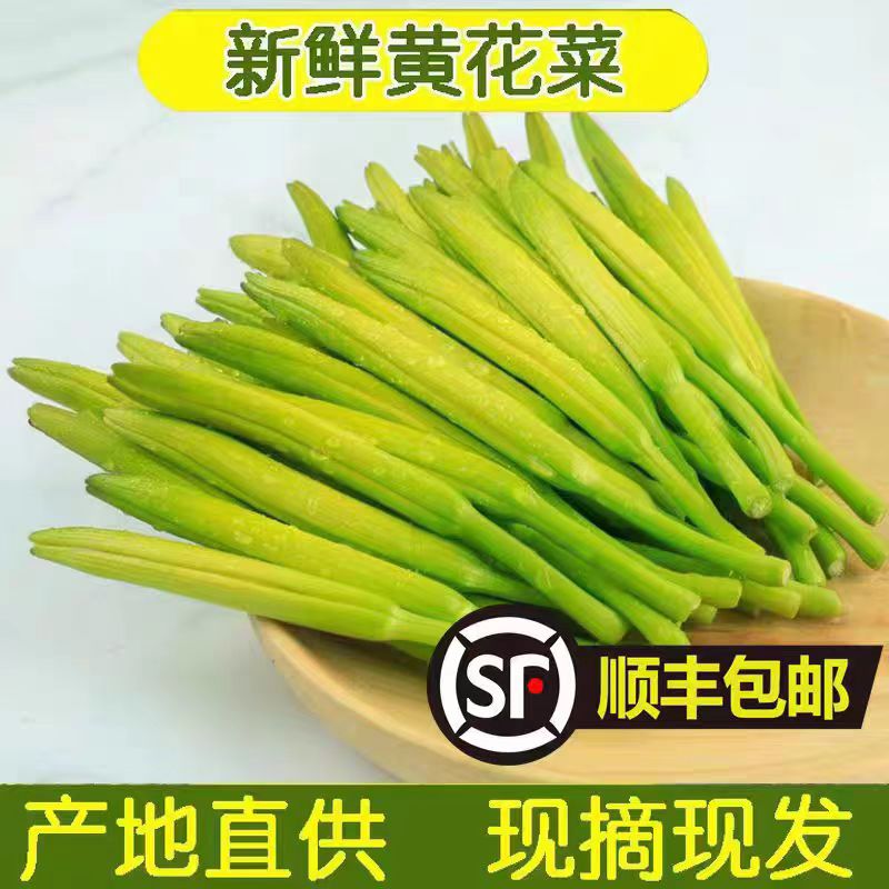 江苏淮安新鲜黄花菜农家当季忘忧草金针菜萱草时令蔬菜现摘黄花菜