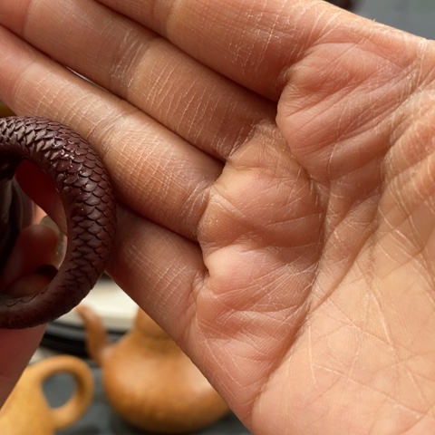 紫砂茶壶向**生紫砂壶的