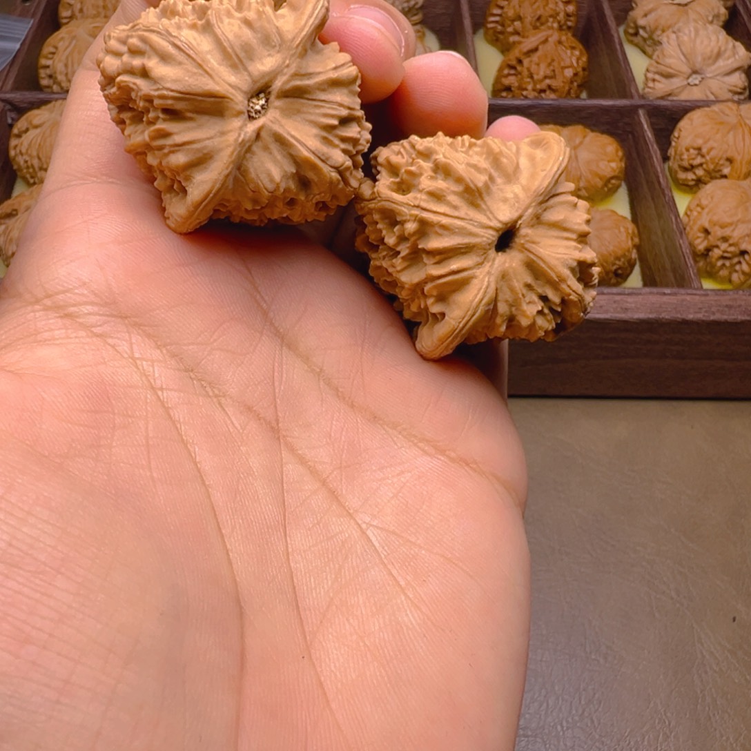 文玩核桃把件三角白