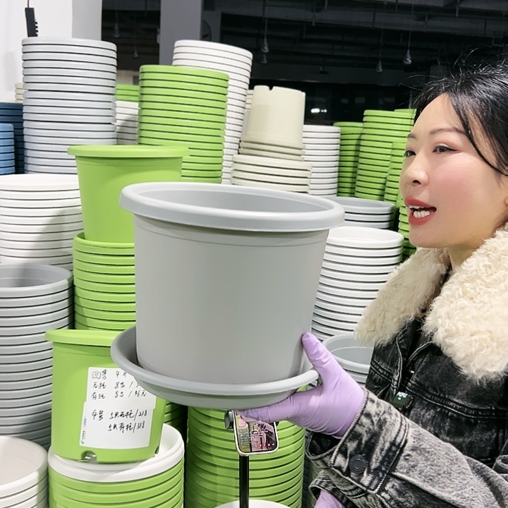 特价3号口21高18果绿色10只有托