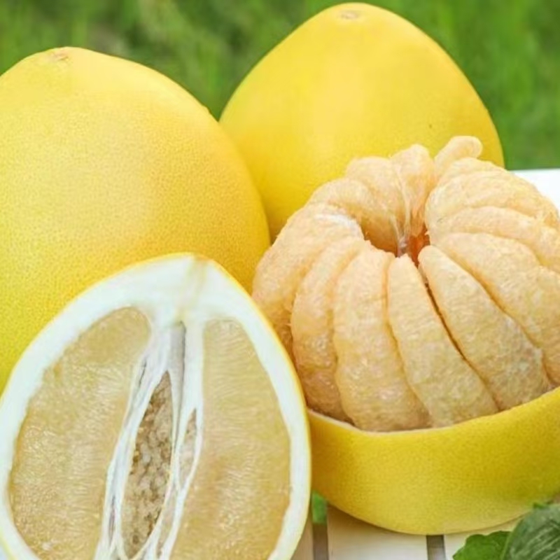 正宗原产地种植 江西有机金兰柚 （3斤装）